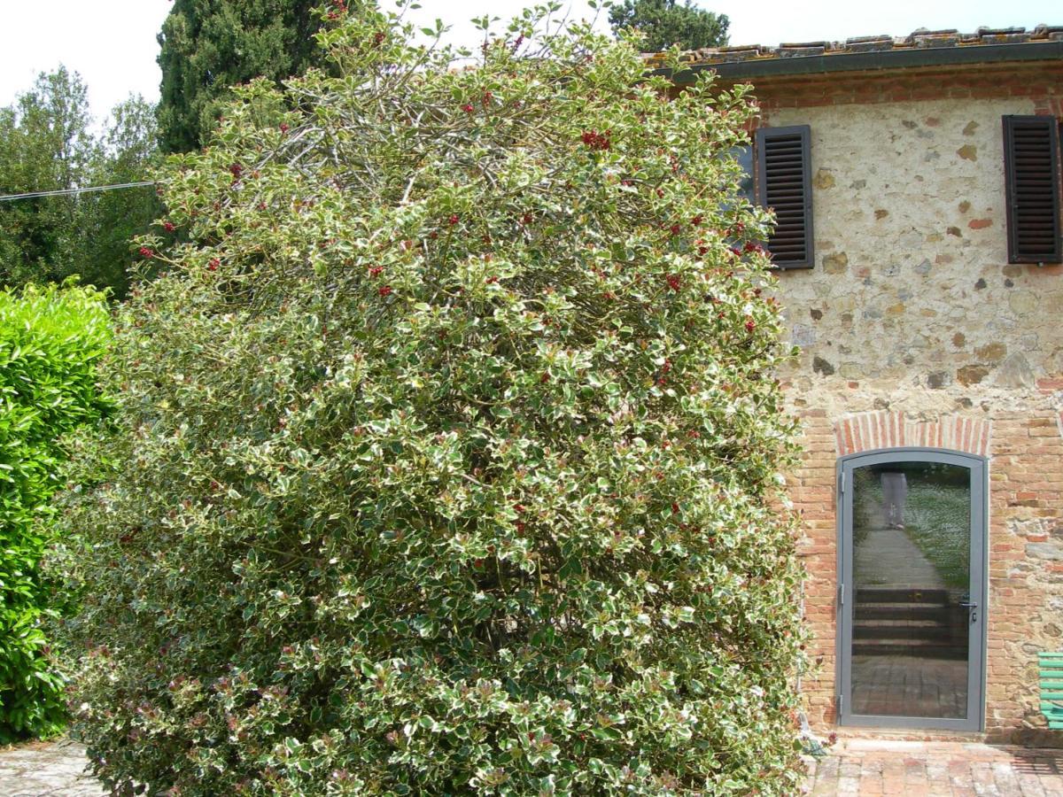 L'Agrifoglio Bed and Breakfast Castelnuovo Berardenga Esterno foto